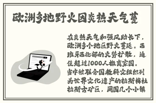 404黄色软件平台