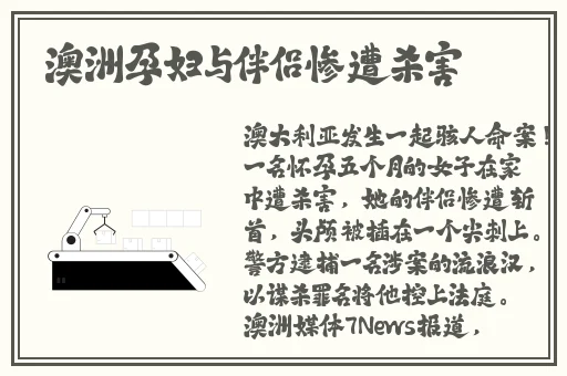 国产精品一区二区精品视频导航